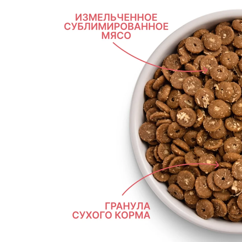 MyBestie Нome Sterilized с лососем