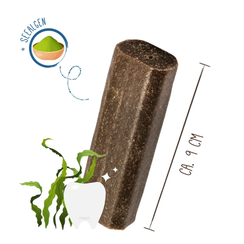 Sammy's Зубная фея